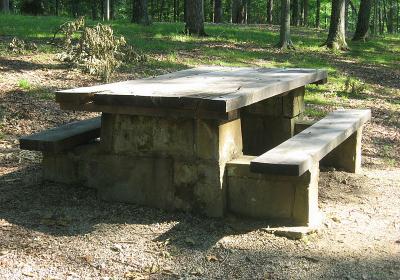 Picnic Area - Jackson State Forest