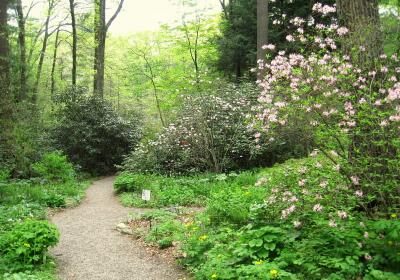 New England Wild Flower Society Garden In The Woods
