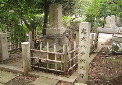 Grave Of Hachiko