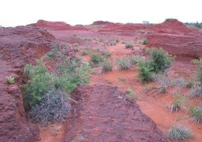 The Red Desert