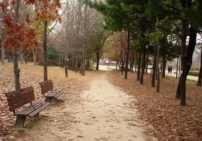Seoul Forest