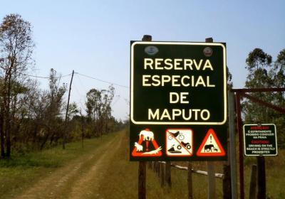 Maputo Elephant Reserve 