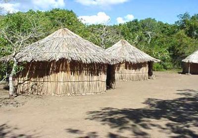 Centro Ceremonial Indigena Tibes