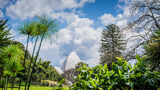 Visit the botanic gardens of Australia - Image