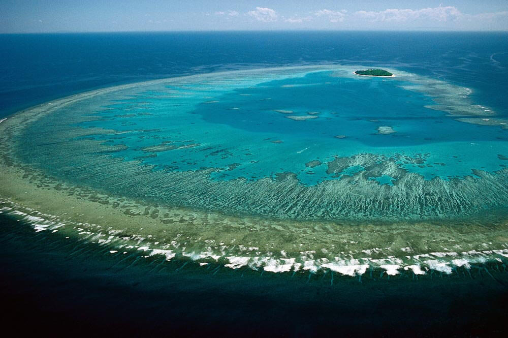 Dive deep in the Great Barrier Reef - Image