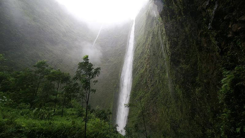 Hi’ilawe Falls – Waipio Valley Trail, Big Island