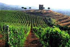 Daytrip in the countryside of the Roman Castels