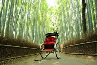 30 minutes Ebisuya Rickshaw tour in Arashiyama, Kyoto