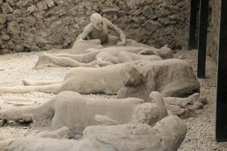 Garden Of The Fugitives Pompeii