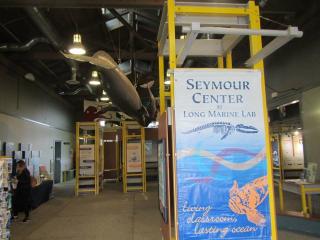 Seymour Marine Discovery Center Santa Cruz Ticket Price