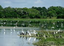 Crooked Tree Wildlife Sanctuary, Belize City | Ticket Price | Timings ...