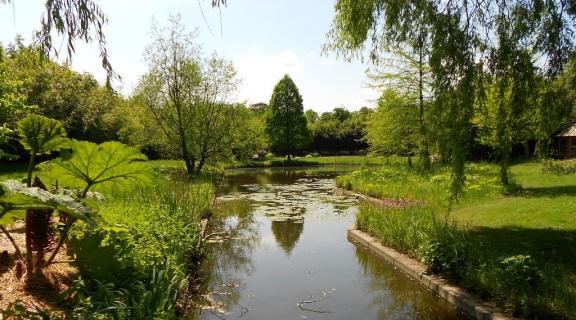 Old Botanical Gardens Or Alter Botanischer Garten, Hamburg Ticket