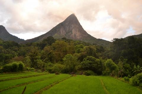 Nakals Mountain Sri Lanka Map Knuckles Mountain Range, Kandy | Ticket Price | Timings | Address: Triphobo