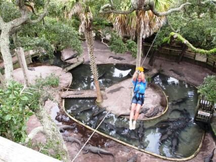 St. Augustine Alligator Farm Zoological Park in St. Augustine - Tours and  Activities