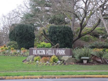 45-Minute Beacon Hill Park Horse-Drawn Carriage Tour