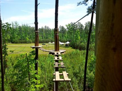 Go Ape Treetop Adventure Course Williamsburg Ticket Price Timings Address Triphobo