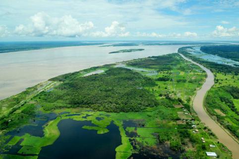 Jau National Park, Manaus | Ticket Price | Timings | Address: TripHobo