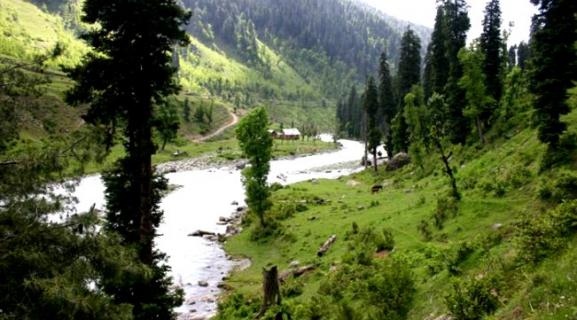 Ningle Nallah, Gulmarg | Ticket Price | Timings | Address: TripHobo