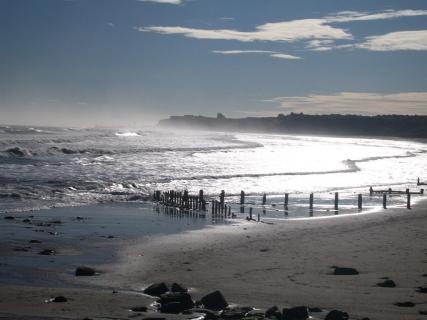 can you take dogs on sandsend beach