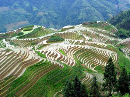 Longsheng Rice Terraces, Guilin | Ticket Price | Timings | Address ...