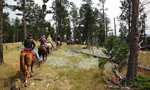 Guided Horseback Trail Rides, Custer | Ticket Price | Timings | Address ...