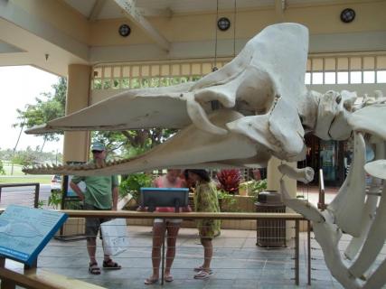 Whalers Village Museum , Lahaina | Ticket Price | Timings | Address ...