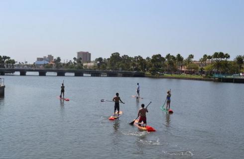 Three Brothers Boards Dolphin & Manatee Paddle Board Tours, Daytona ...