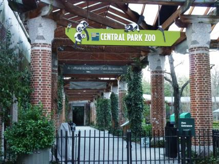 Central Park Zoo, New York City | Ticket Price | Timings | Address ...