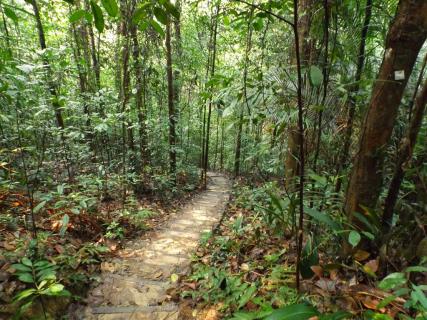 Bukit Gasing Reserve Kuala Lumpur Ticket Price Timings Address Triphobo