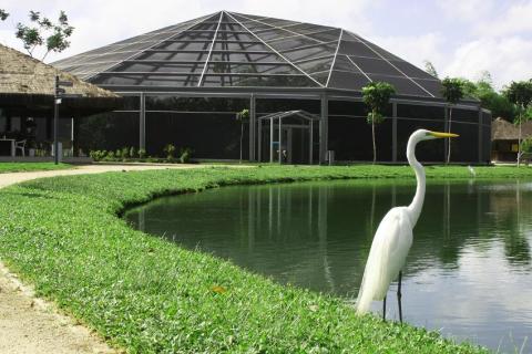 Mangal das garças - Belém - Pará, nilsonccb