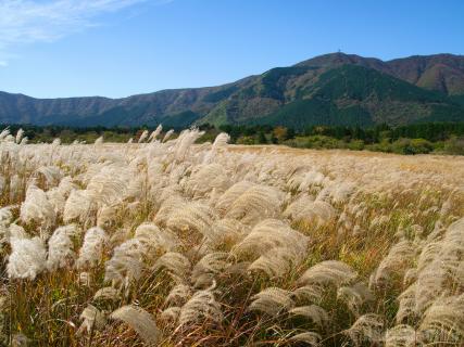 Sengokuhara, Hakone | Ticket Price | Timings | Address: TripHobo