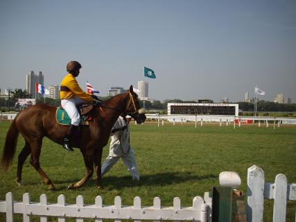 Mahalakshmi Race Course Mumbai Ticket Price Timings Address Mahalakshmi Race Course Mumbai Ticket Price Timings Address