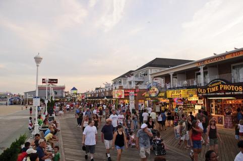 are dogs allowed on the boardwalk in ocean city maryland