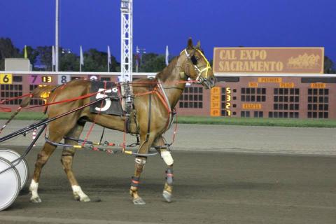 Cal Expo Horse Racing Schedule 2022 Cal Expo Horse Racing, Sacramento | Ticket Price | Timings | Address:  Triphobo