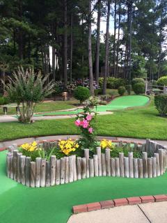 Pirate's Cove Adventure Golf  Check It Out! Hot Springs, Arkansas