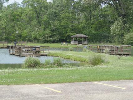 Waddill Wildlife Refuge, Baton Rouge | Ticket Price | Timings | Address Waddill Wildlife Refuge, Baton Rouge | Ticket Price | Timings | Address