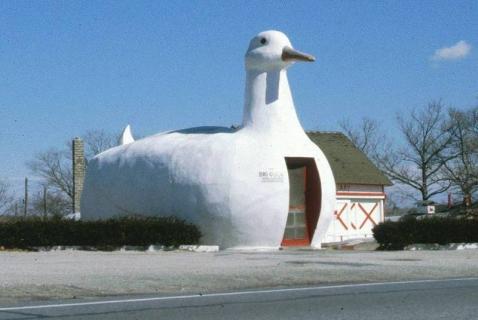 The Big Duck, Flanders | Ticket Price | Timings | Address: TripHobo