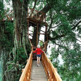 Wisata bogor curug ciherang