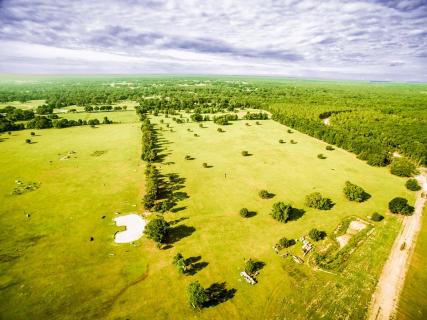 Florida Horse Park, Ocala | Ticket Price | Timings | Address: TripHobo