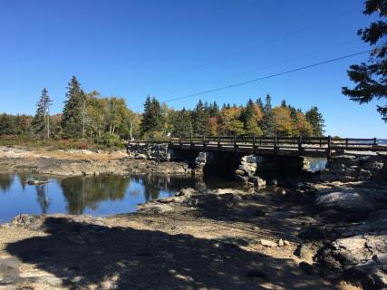 are dogs allowed at reid state park maine