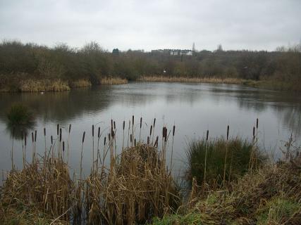 Shirebrook Valley Nature Reserve, Sheffield | Ticket Price | Timings ...