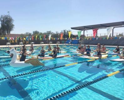 mesquite pool chandler