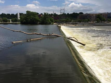 Fish Ladder Park, Grand Rapids | Ticket Price | Timings | Address: TripHobo