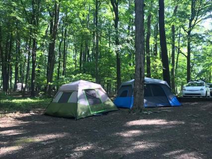 Tohickon Valley Park Trail Map Tohickon Valley Park, Pipersville | Ticket Price | Timings | Address:  Triphobo