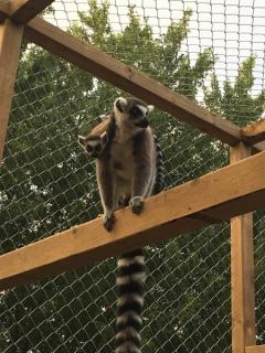 Greenview Avaries Park & Zoo, Chatham-kent 