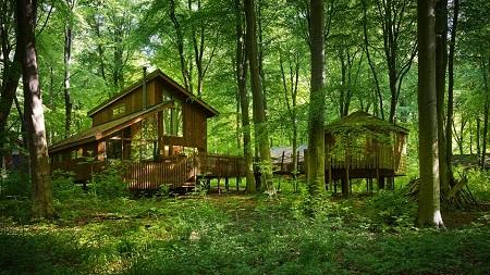 Forest Holidays Forest Of Dean, Christchurch | Ticket Price | Timings ...