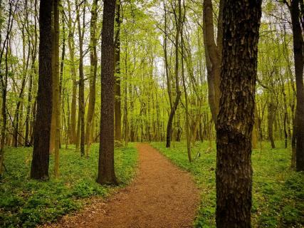 Celery Bog Trail Map Celery Bog Nature Area, West Lafayette | Ticket Price | Timings | Address:  Triphobo