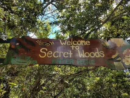 Perfekt Sæt ud Forfalske Secret Woods Nature Center, Dania Beach | Ticket Price | Timings | Address:  TripHobo