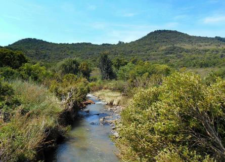 Faerie Glen Hiking Trail Faerie Glen Municipal Nature Reserve, Pretoria | Ticket Price | Timings |  Address: Triphobo