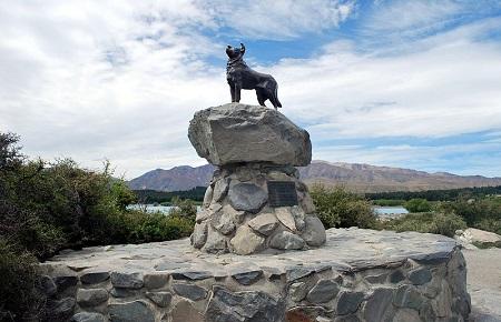 Sheepdog Memorial, Lake Tekapo | Ticket Price | Timings | Address: TripHobo